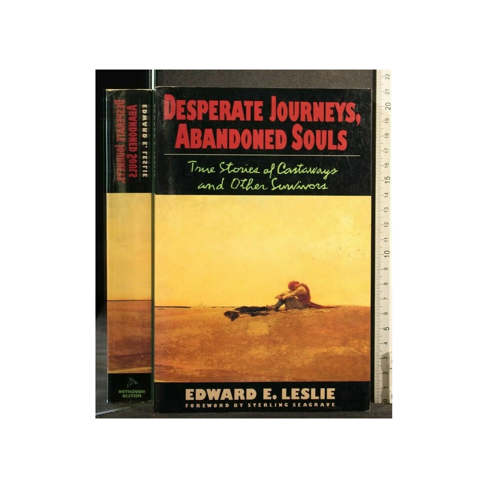 DESPERATE JOURNEY, ABANDONES SOULS