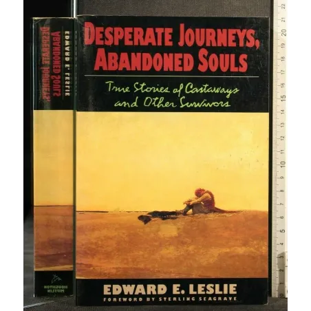 DESPERATE JOURNEY, ABANDONES SOULS