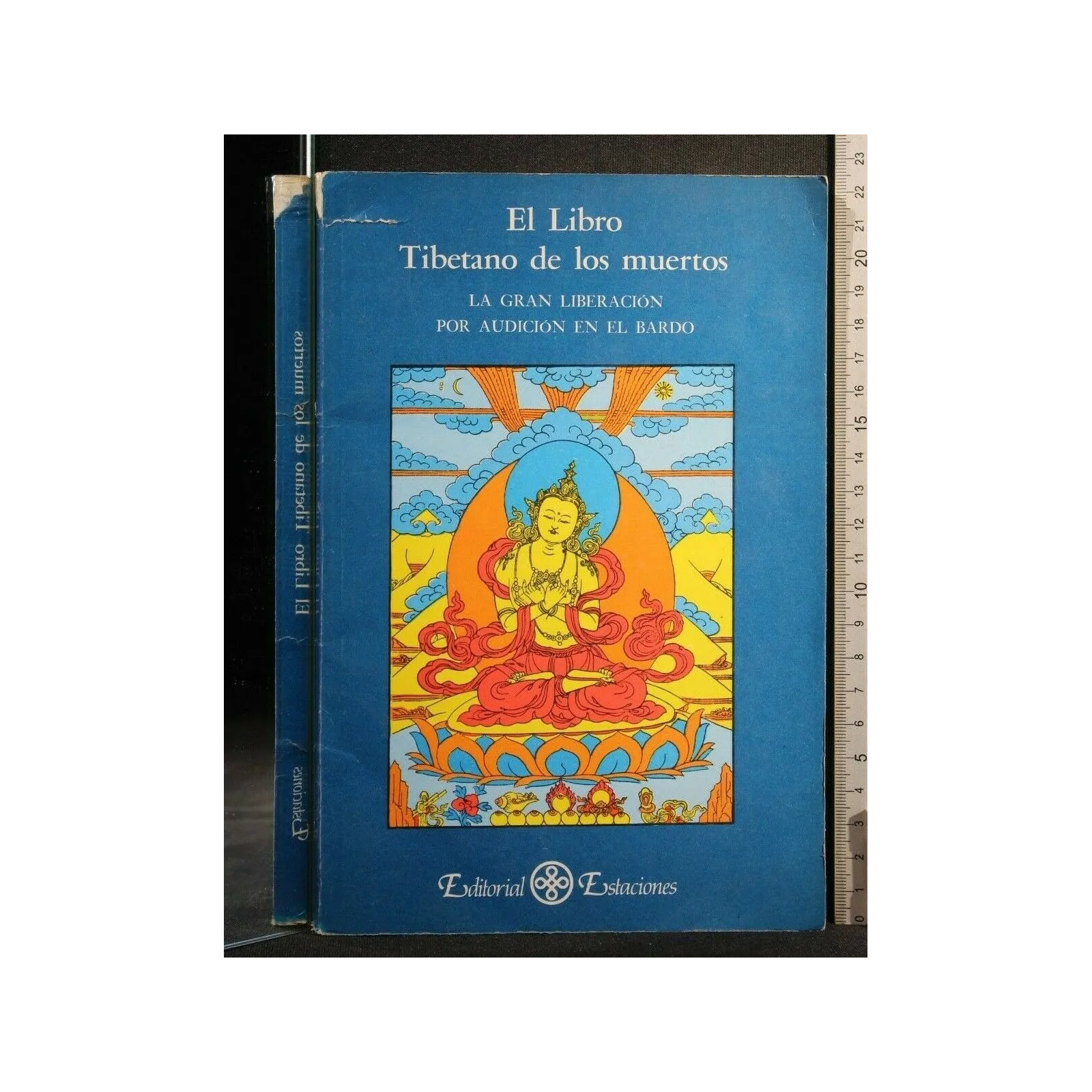 EL LIBRO TIBETANO DE LOS MUERTOS