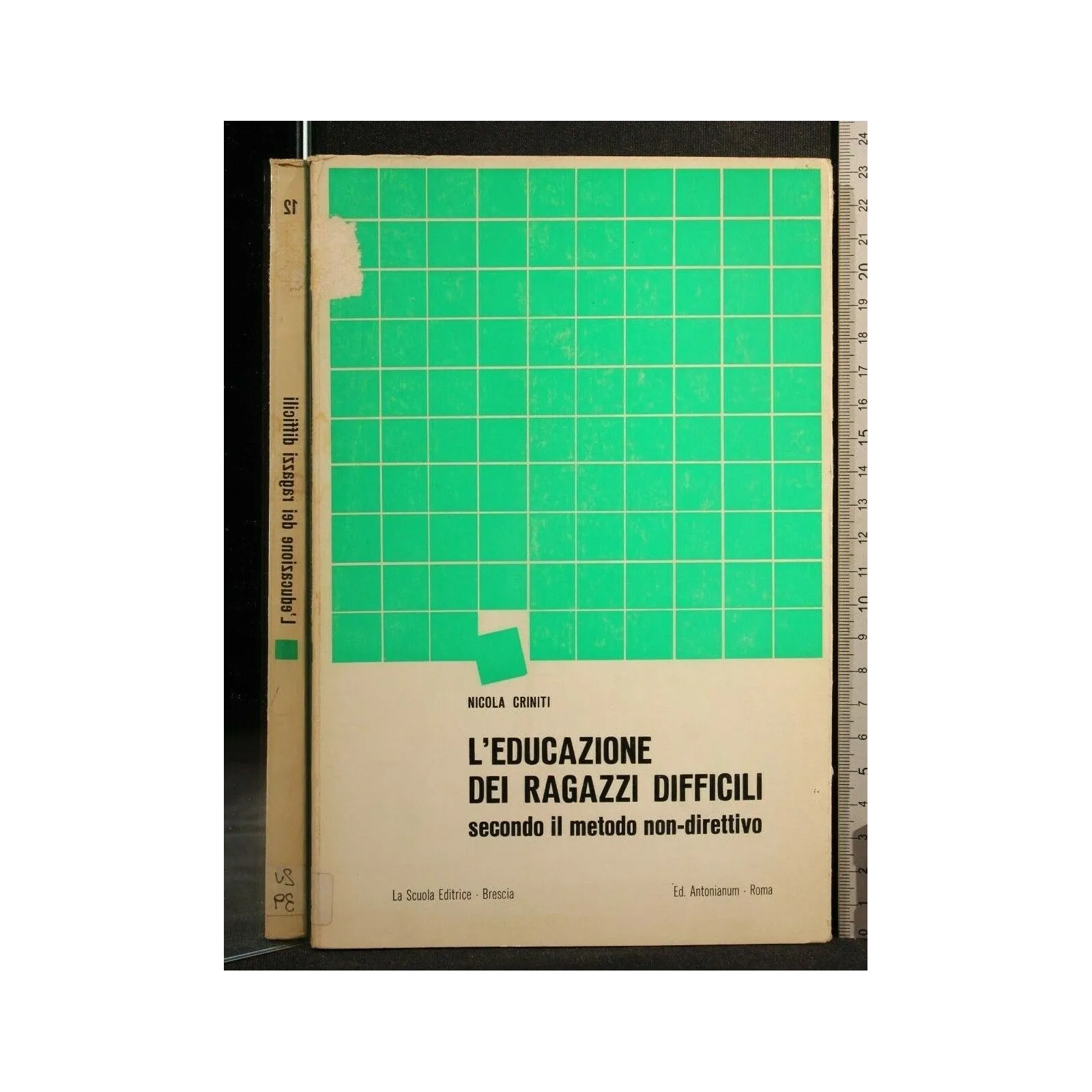 L'EDUCAZIONE DEI RAGAZZI DIFFICILI