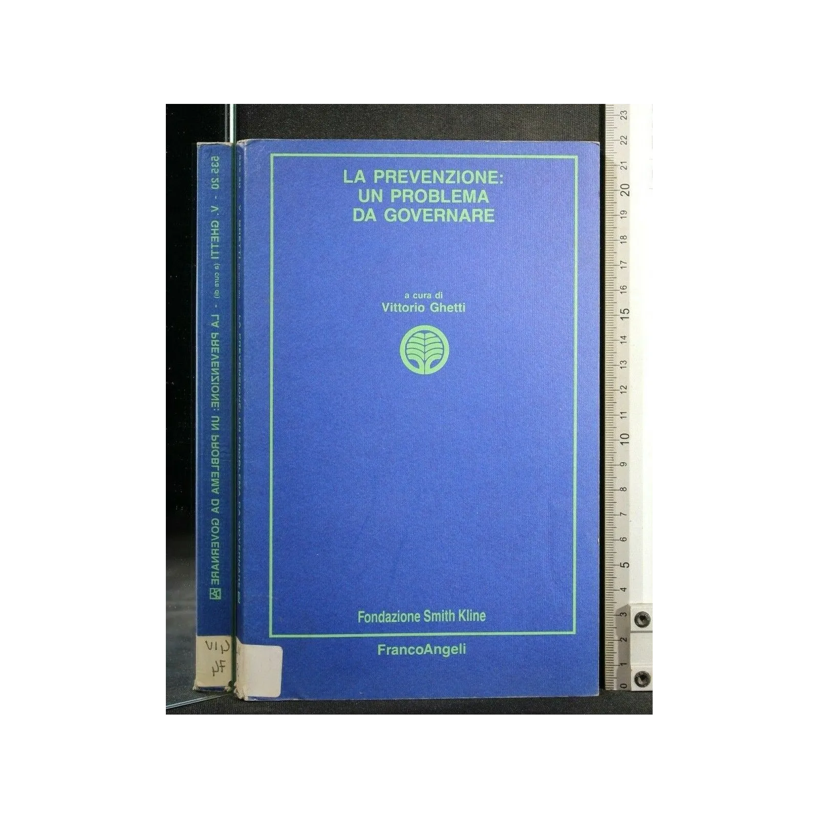 LA PREVENZIONE: UN PROBLEMA DA GOVERNARE