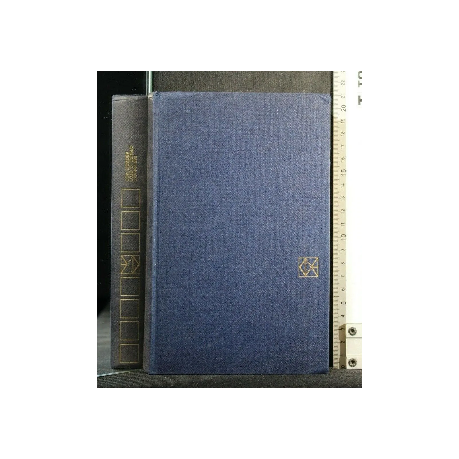 FOTO DI GRUPPO CON SIGNORA