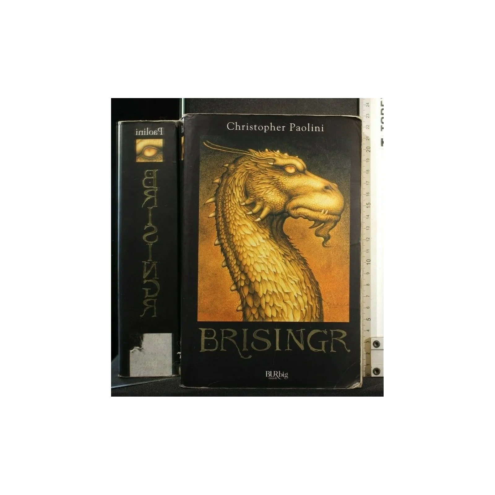 BRISINGR L'EREDITÀ, LIBRO 3°