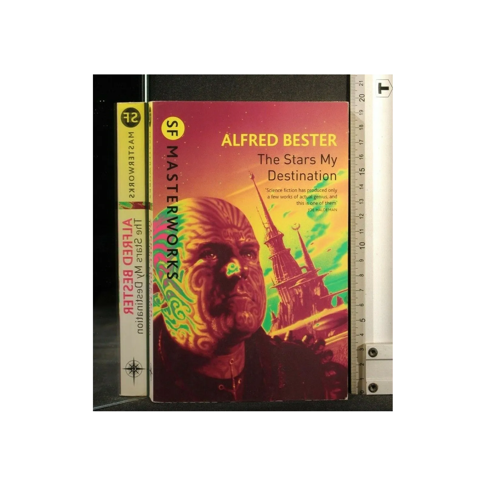 THE STARS MY DESTINATION