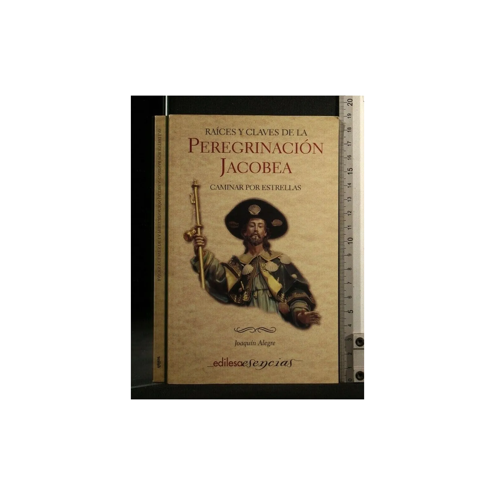 RAICES Y CKAVES DE LA PEREGRINACION JACOBEA