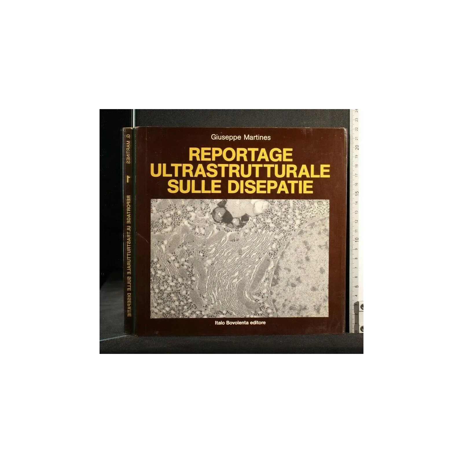 REPORTAGE ULTRASTRUTTURALE SULLE DISEPATIE VOL. 1