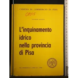 L'INQUINAMENTO IDRICO NELLA PROVINCIA DI PISA