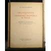 ORGANIZZAZIONE DELL'ASSISTENZA PROTETICA IN ITALIA RELAZIONE AL