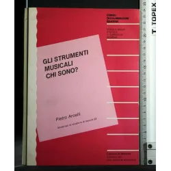 GLI STRUMENTI MUSICALI CHI SONO?