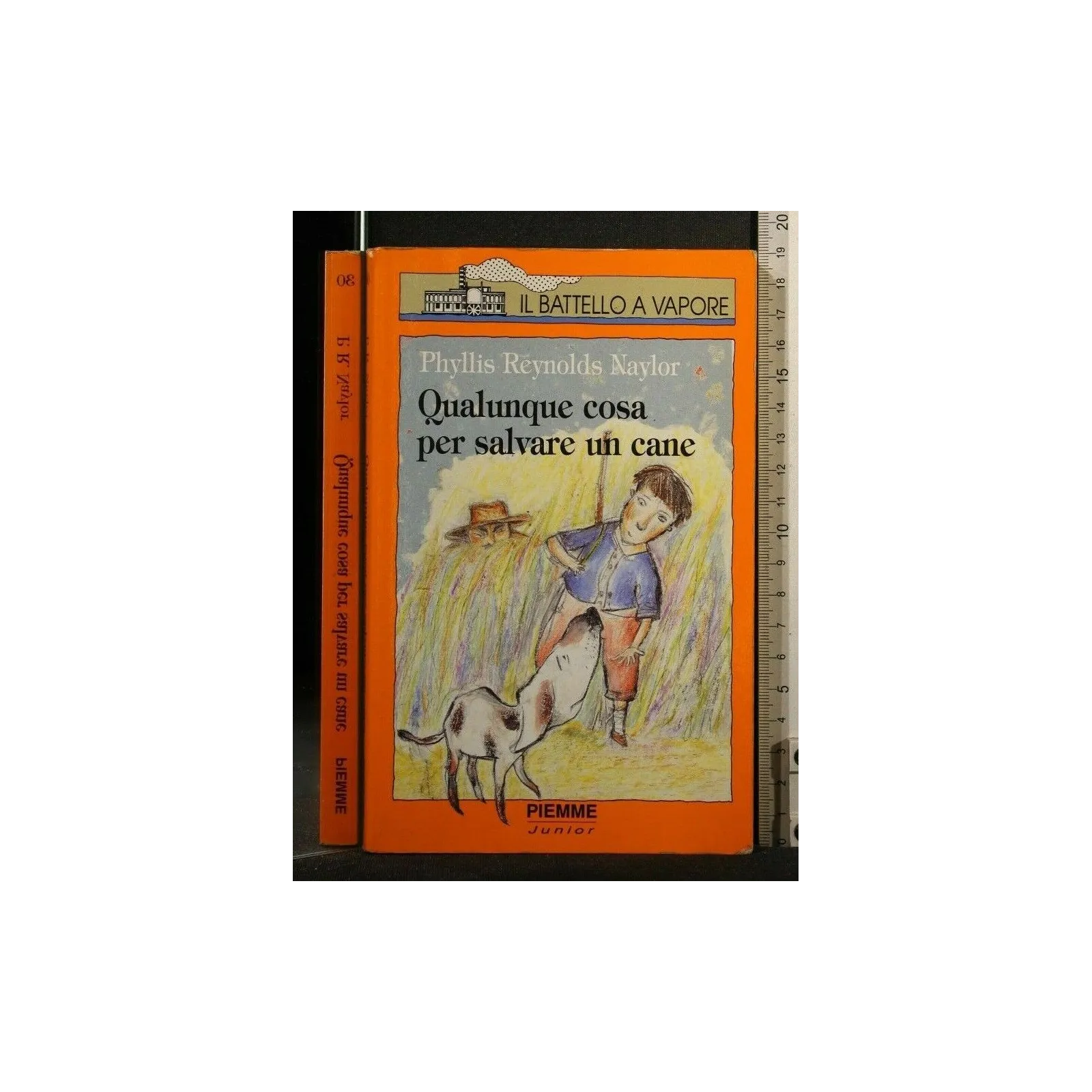 QUALUNQUE COSA PER SALVARE UN CANE