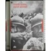 Grande guerra, piccoli generali