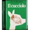 Il cucciolo