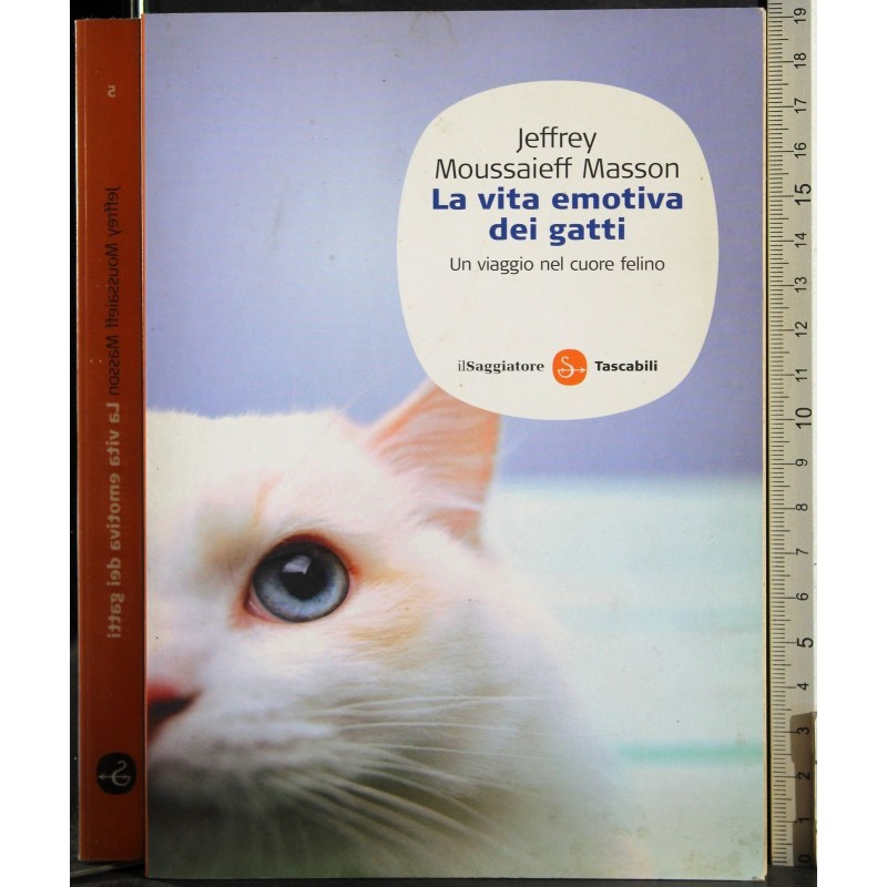 La vita emotiva dei gatti