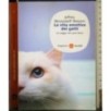 La vita emotiva dei gatti