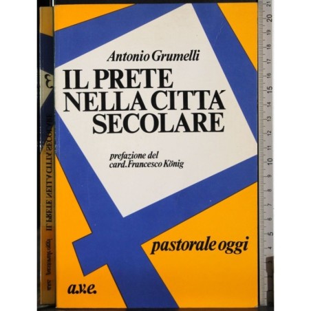 Il prete nella città secolare