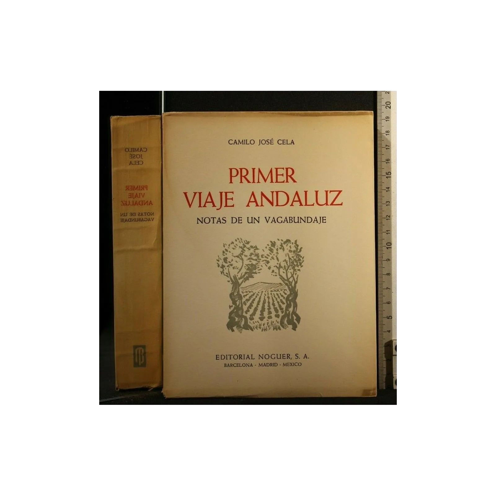 PRIMER VIAJE ANDALUZ