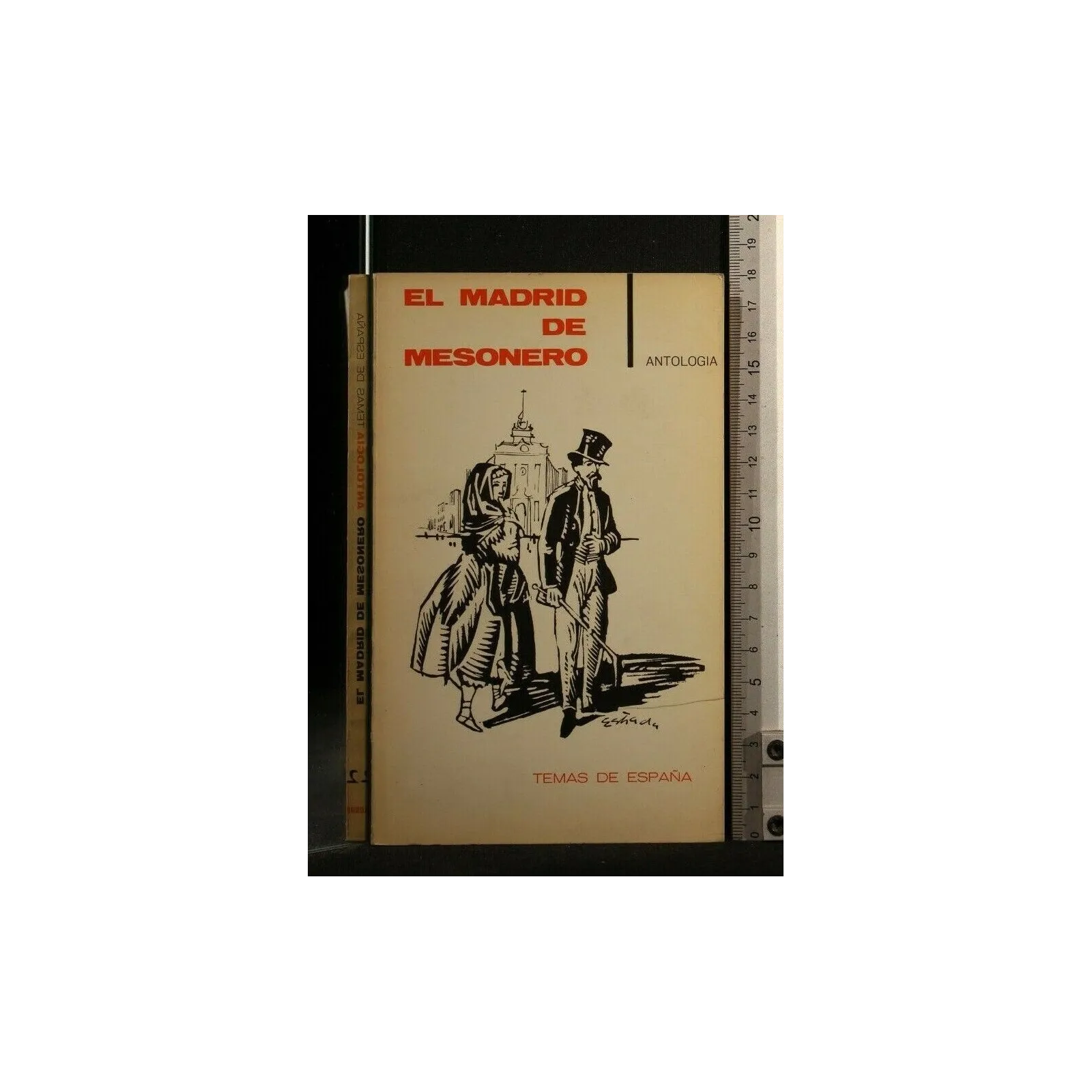 EL MADRID DE MESONERO