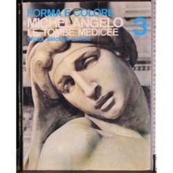 Michelangelo. Forme medicee