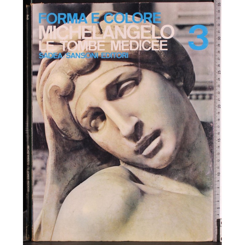 Michelangelo. Forme medicee