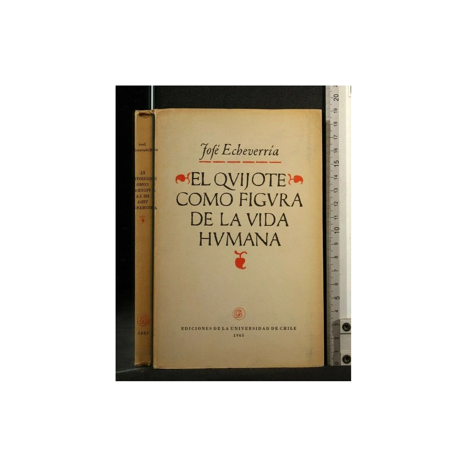 EL QUIJOTE COMO FIGURA DE LA VIDA HUMANA