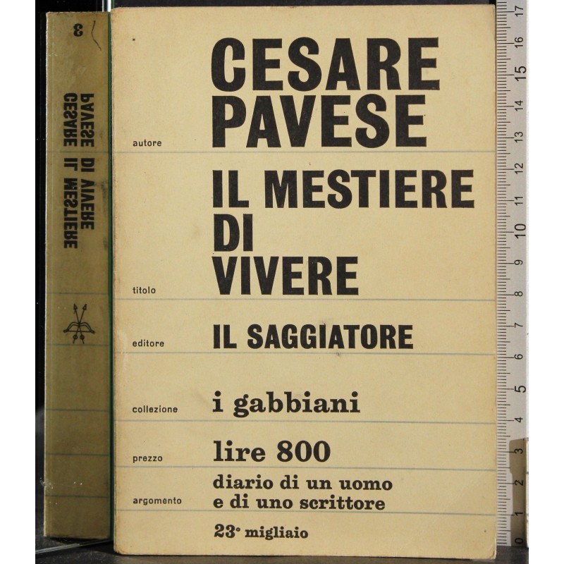Il mestiere di vivere