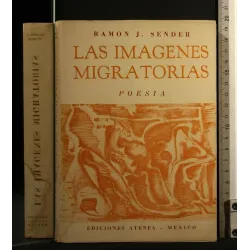 LAS IMAGENES MIGRATORIAS