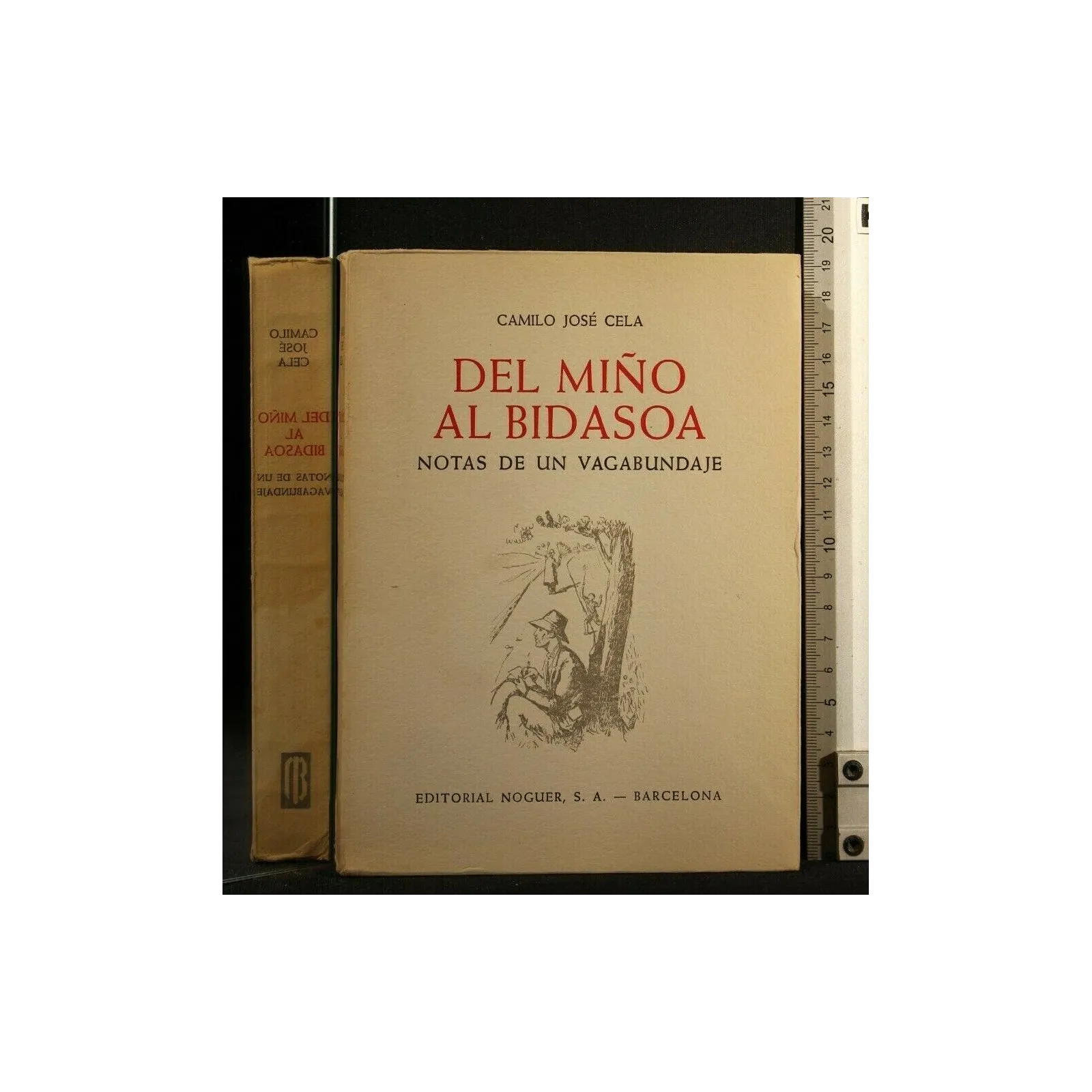 DEL MINO AL BIDASOA