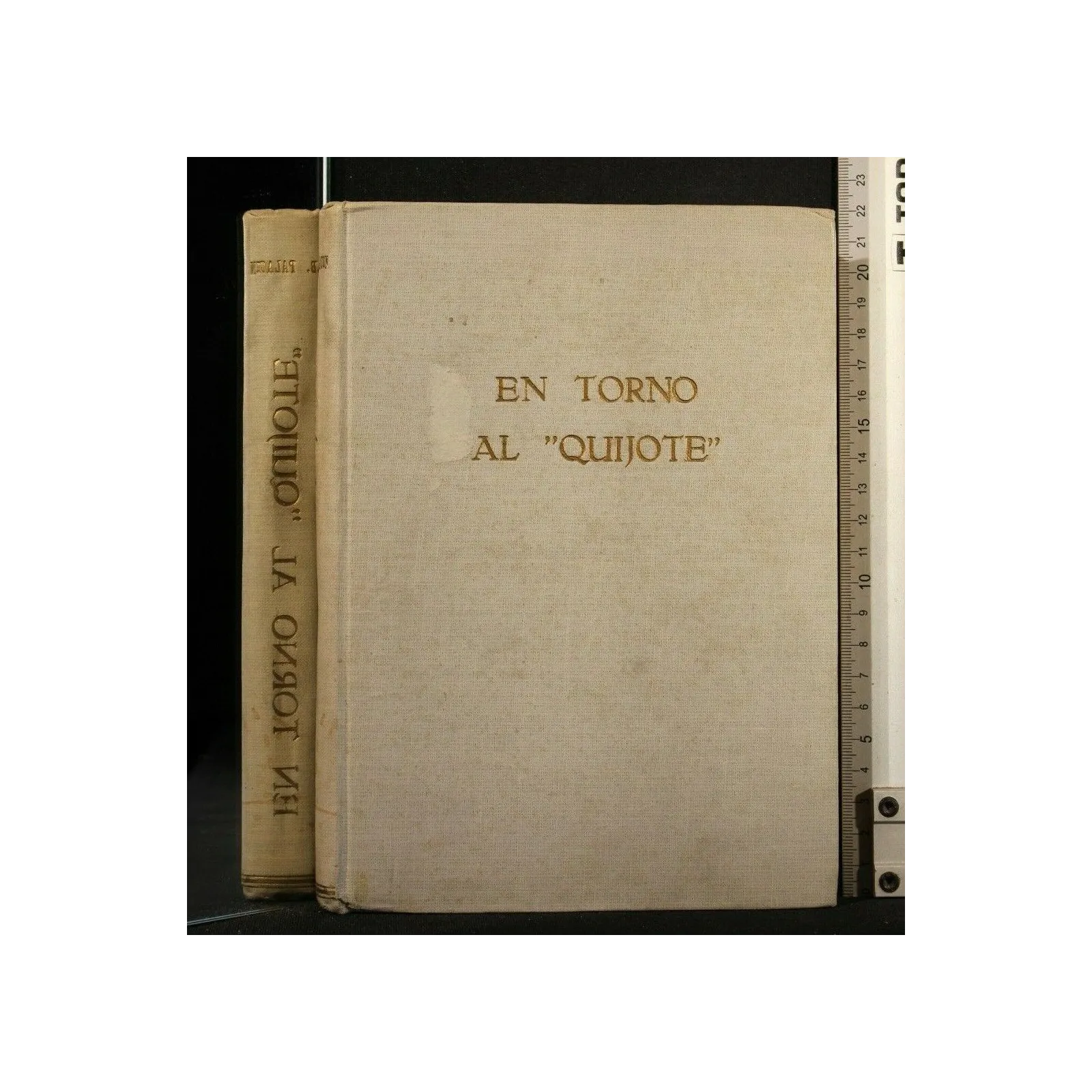 EN TORNO AL ''QUIJOTE''