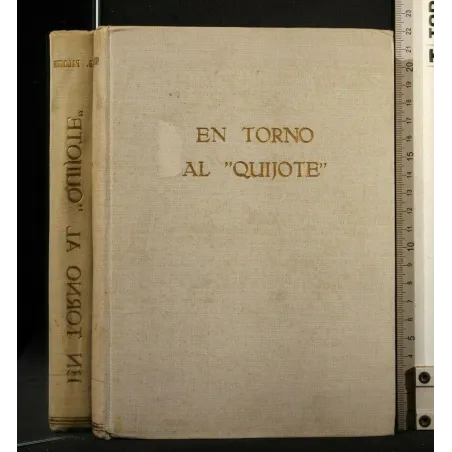 EN TORNO AL ''QUIJOTE''