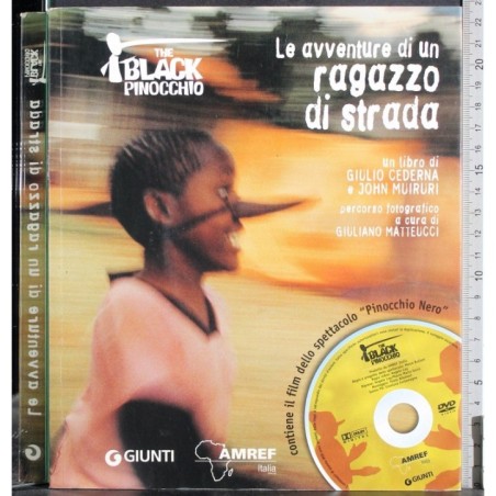 Le avventure di un ragazzo di strada