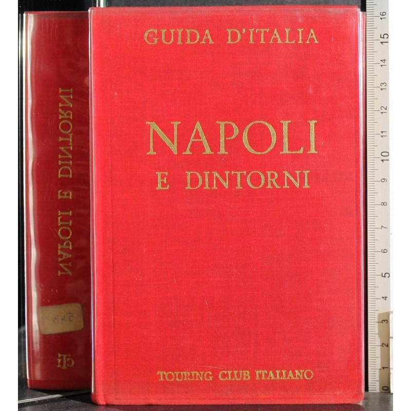 Guida d'Italia. Napoli e dintorni