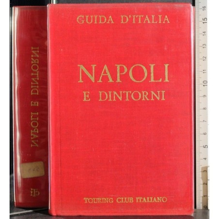 Guida d'Italia. Napoli e dintorni