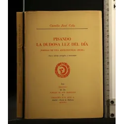 PISANDO LA DUDOSA LUZ DEL DIA