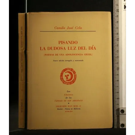 PISANDO LA DUDOSA LUZ DEL DIA