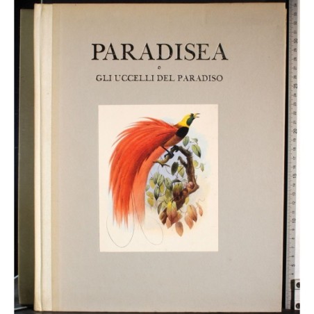 Paradisea o gli uccelli del Paradiso