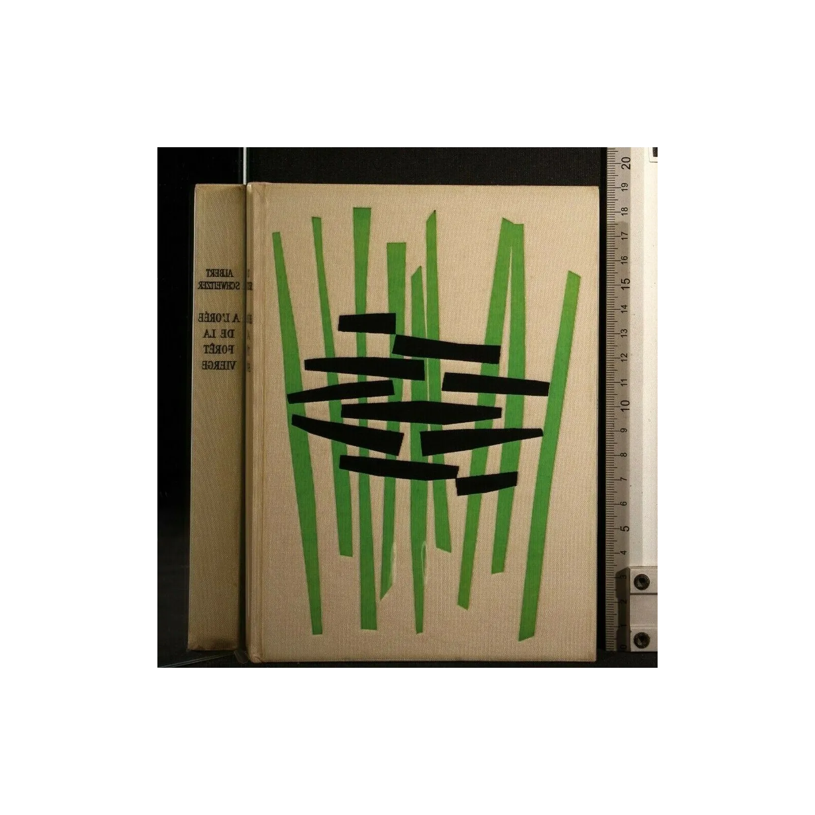 A L'OREE DE LA FORET VIERGE