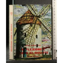 REFLEXIONES SOBRE EL QUIJOTE
