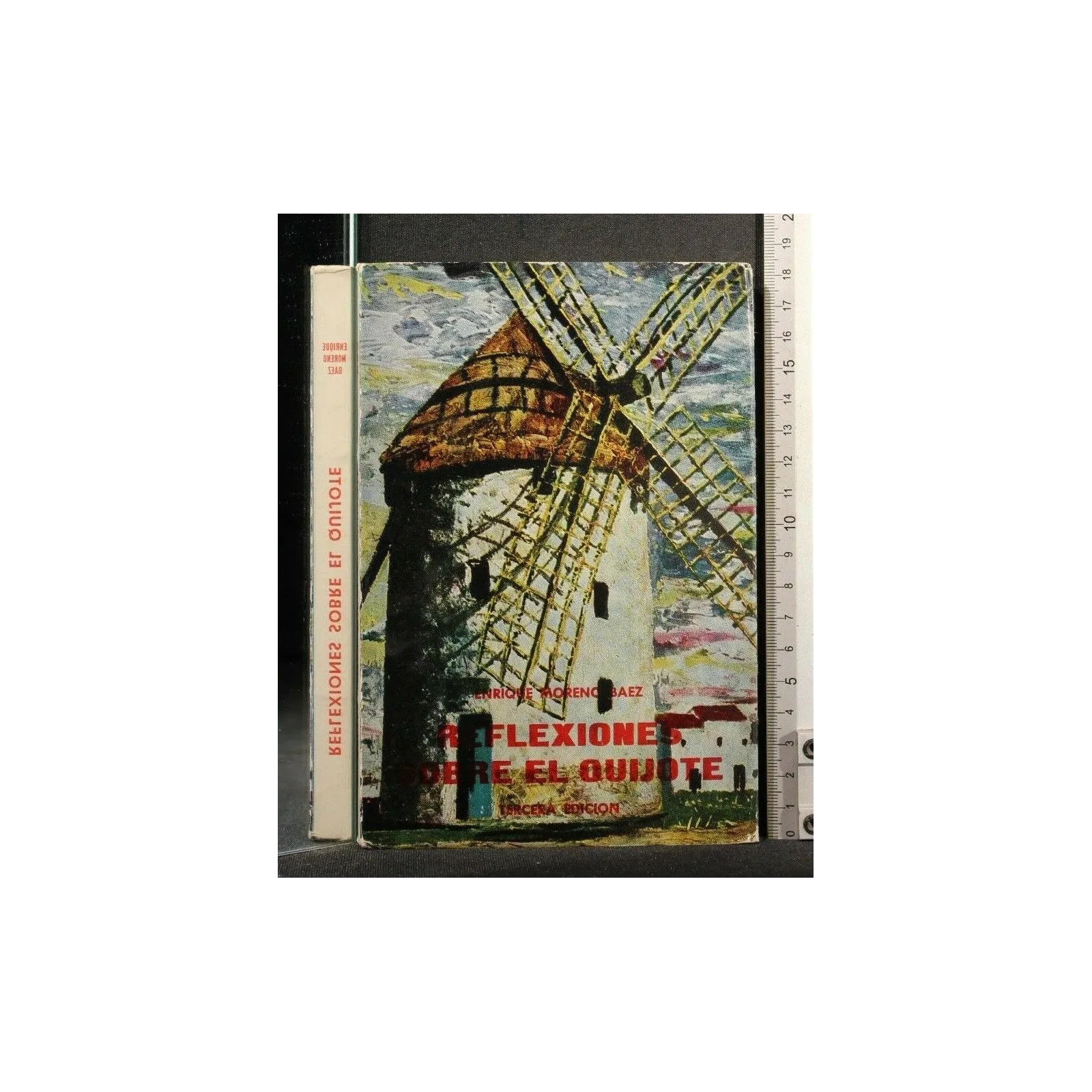 REFLEXIONES SOBRE EL QUIJOTE