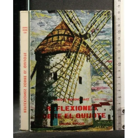 REFLEXIONES SOBRE EL QUIJOTE