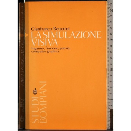 La simulazione visiva