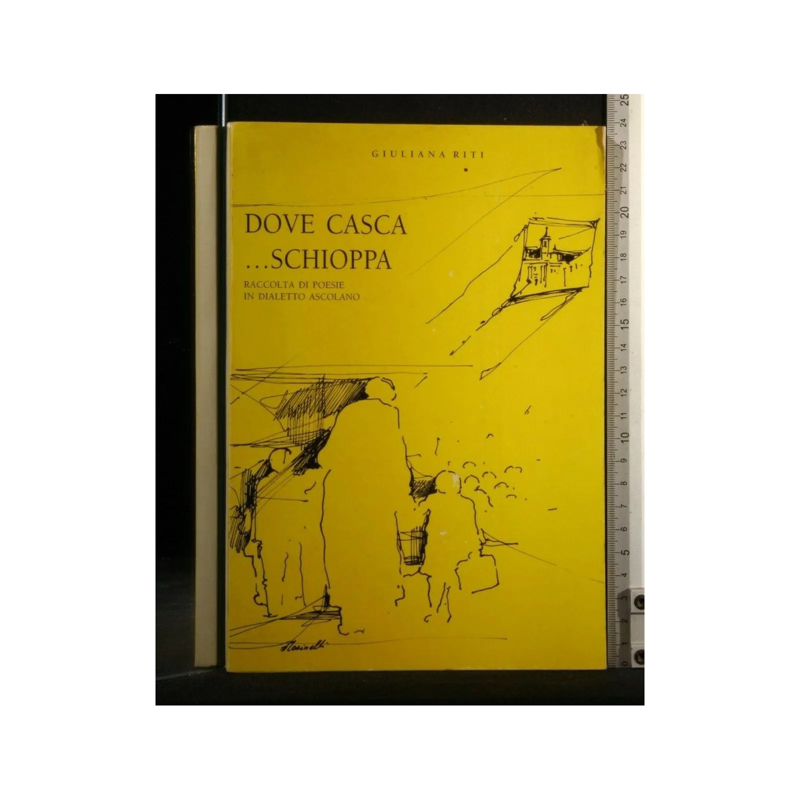 DOVE CASCA... SCHIOPPA RACCOLTA DI POESIE IN DIALETTO ASCOLANO