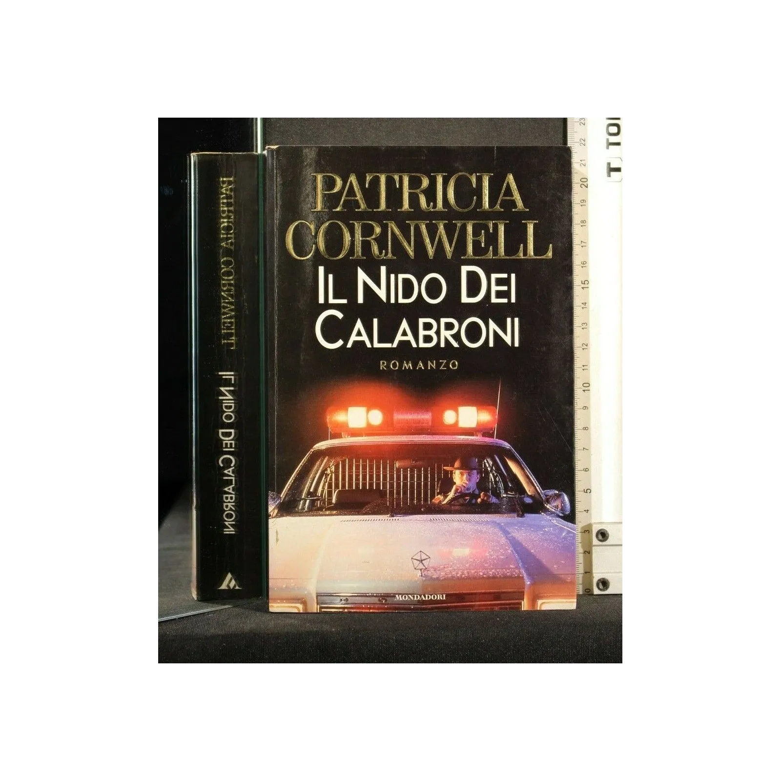 IL NIDO DEI CALABRONI