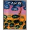 CAMBI. GENOVA. ARTI DECORATIVE XX SEC. CATALOGO ASTA 25 MAGGIO 2009.