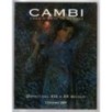 CAMBI. GENOVA. DIPINTI DEL XIX E XX SEC. CATALOGO ASTA 3 DIC 2009.
