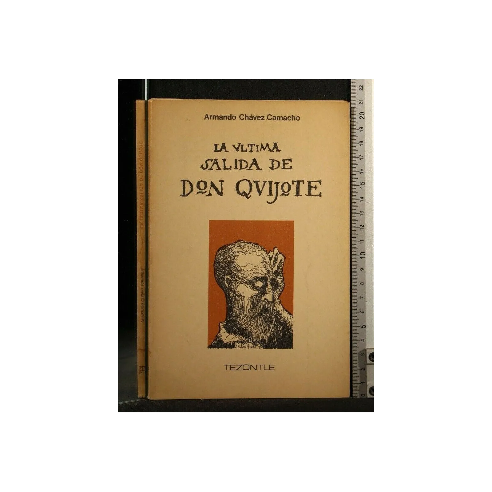 LA ULTIMA SALIDA DE DON QUIJOTE