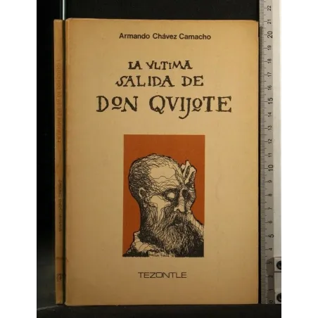 LA ULTIMA SALIDA DE DON QUIJOTE