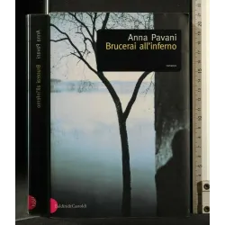 BRUCERAI ALL'INFERNO