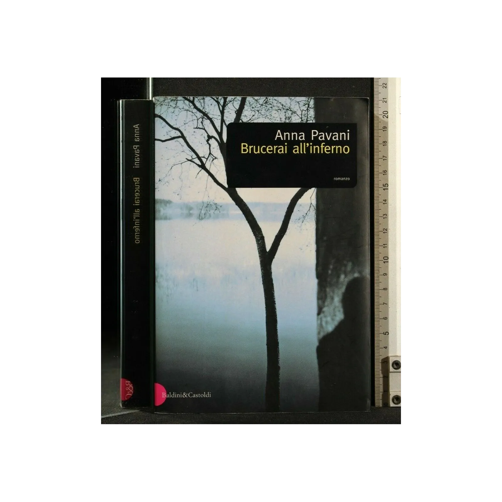 BRUCERAI ALL'INFERNO