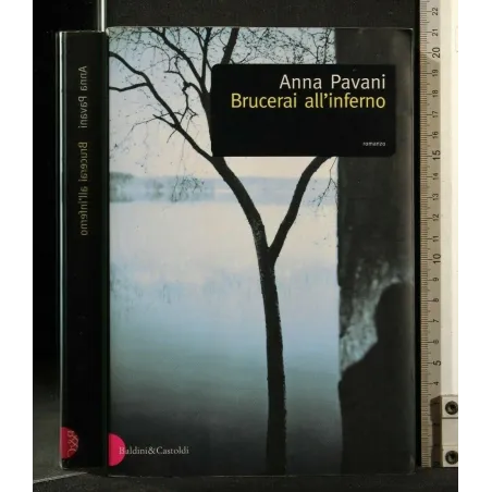BRUCERAI ALL'INFERNO