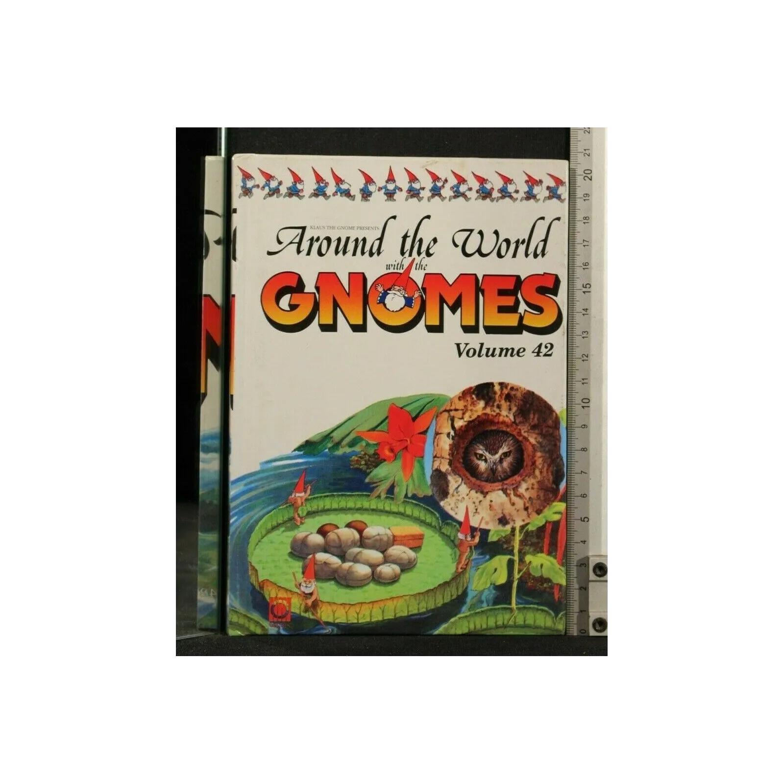 AROUND THE WORLD WITH THE GNOMES VOLUME 42